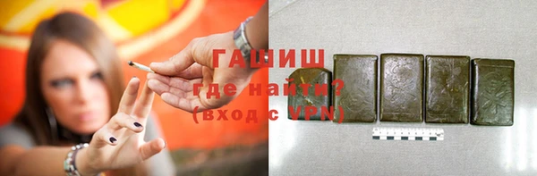 соль ск Инсар