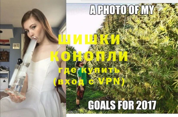 МДПВ Инта