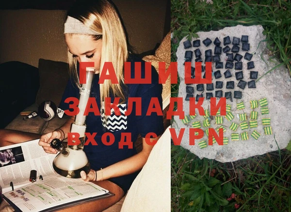 соль ск Инсар