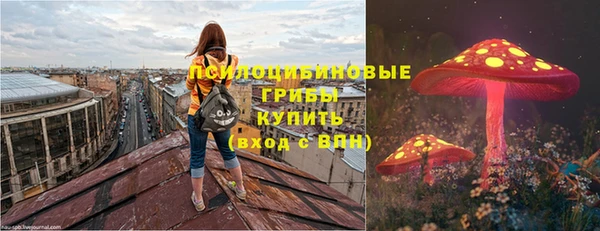 МДПВ Инта