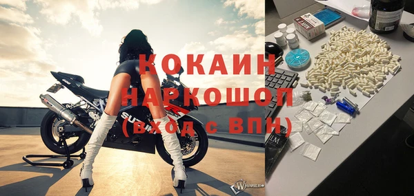соль ск Инсар