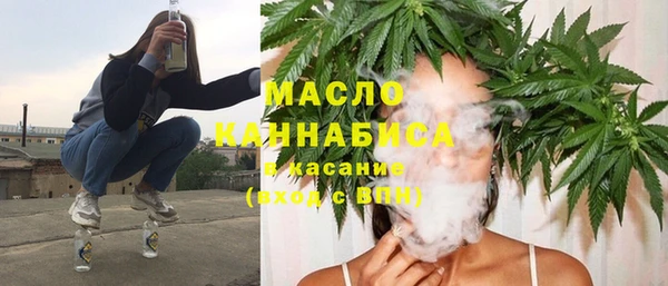 соль ск Инсар