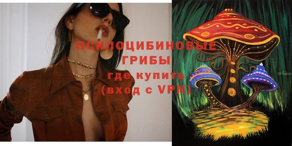 МДПВ Инта