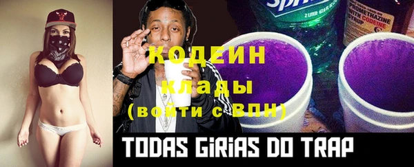 МДПВ Инта