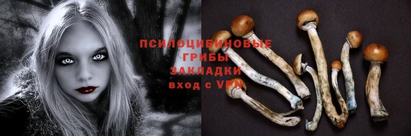 соль ск Инсар