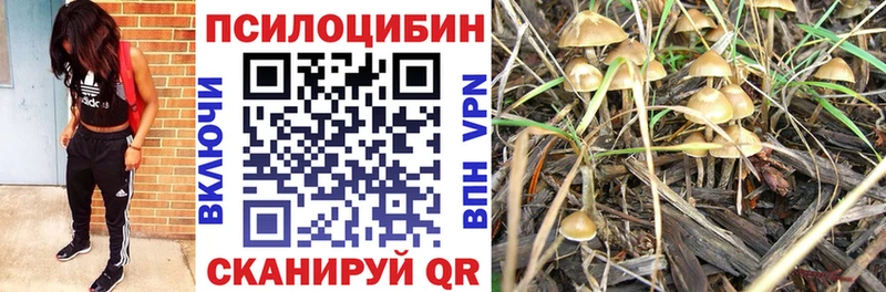 Псилоцибиновые грибы прущие грибы  Купить где  Вязники 
