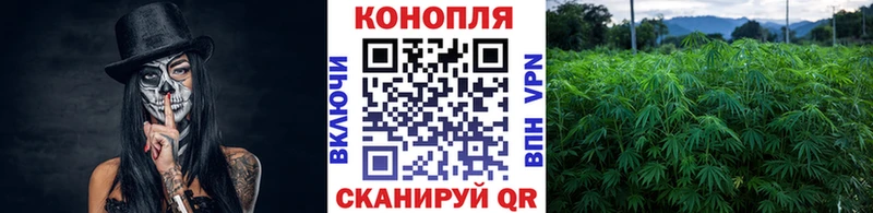 Шишки марихуана White Widow  Купить закладки  Вязники 